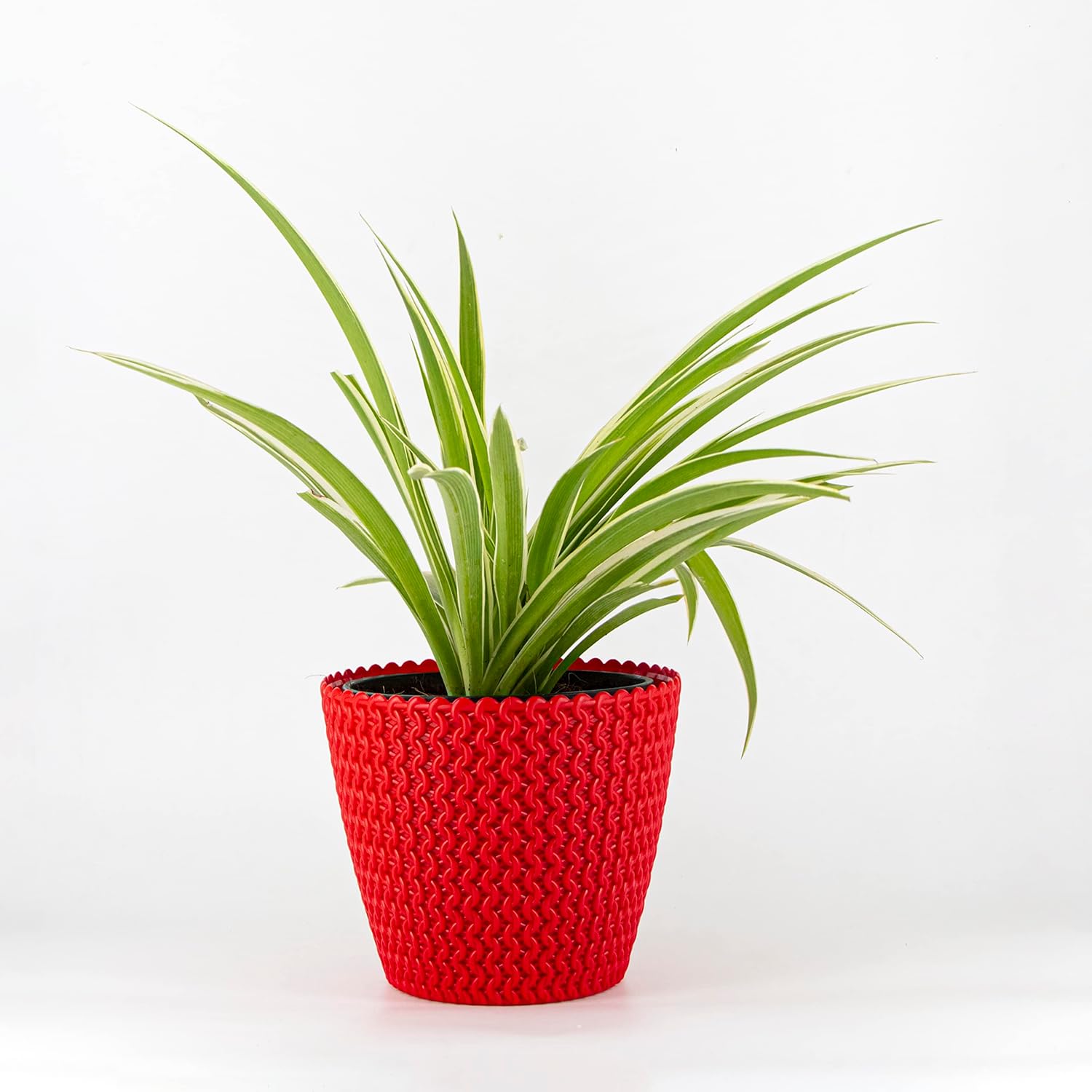 7 Inch Poppy Round Flower Pots  Set of 5