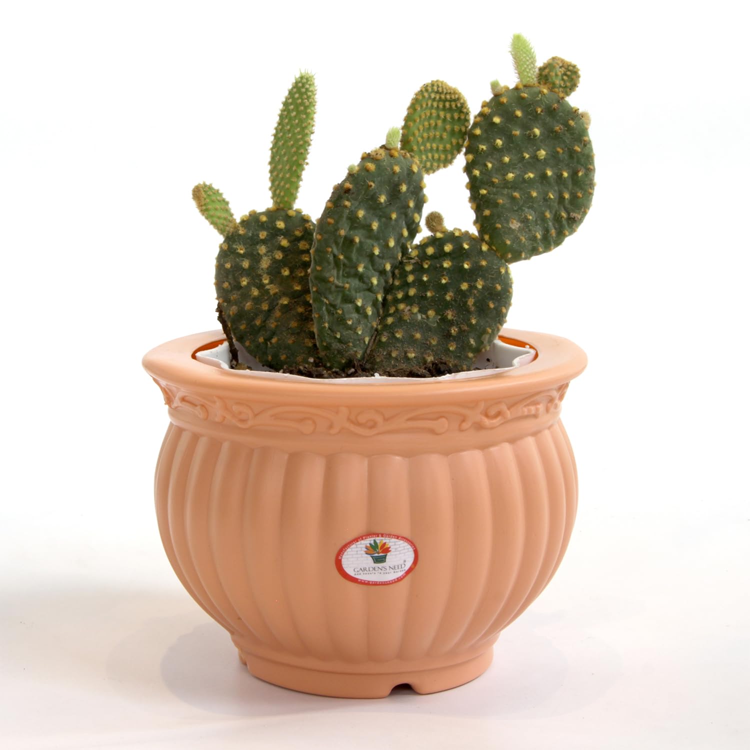 5 Inch Kanha Matki Plastic Flower Pots  Set of 2