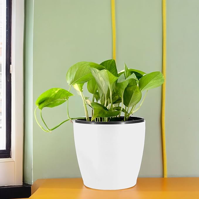 Self-Watering Planter Pots, 6 Inch White Flower Pots with Drainage, Modern Round Design for Indoor Outdoor Plants, Home Office Table Garden Balcony Decor, Set of 5