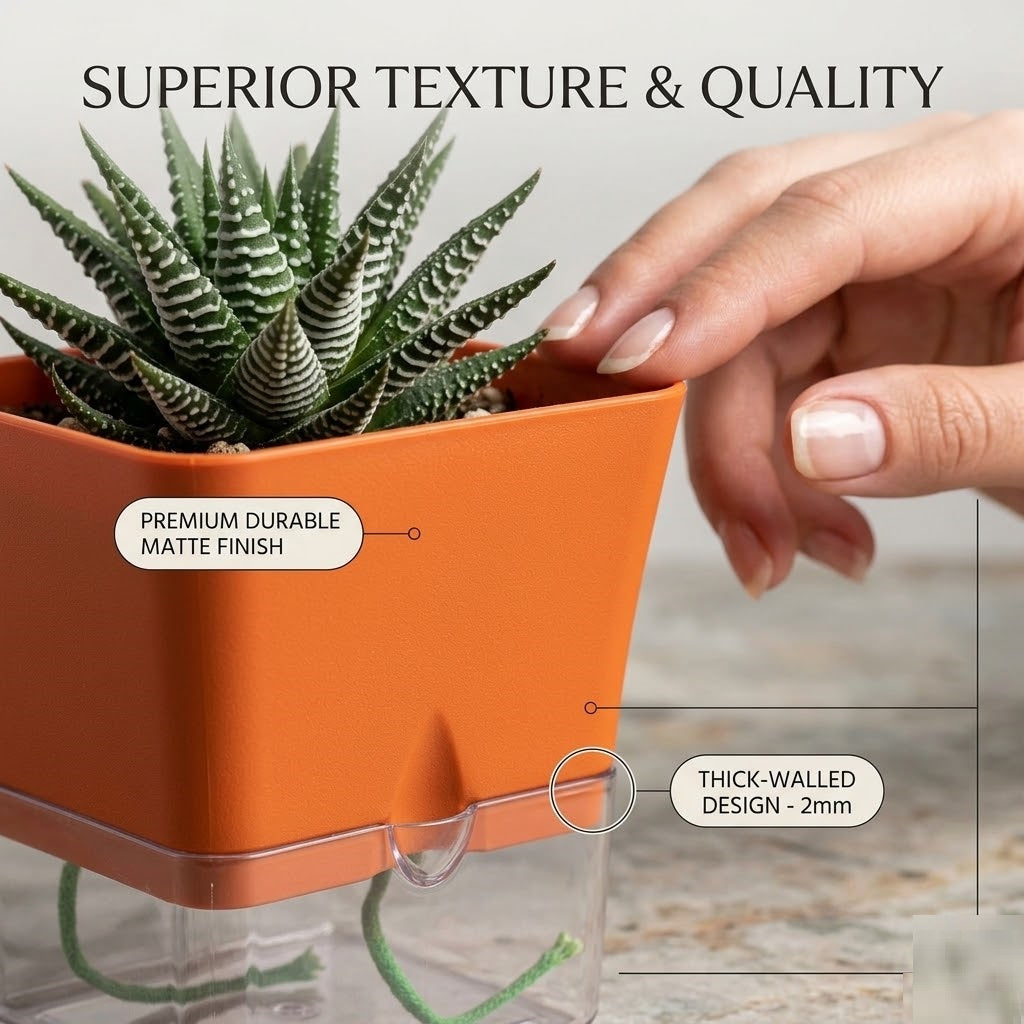 Austin 5-Inch Square Plant Pots Set of 2