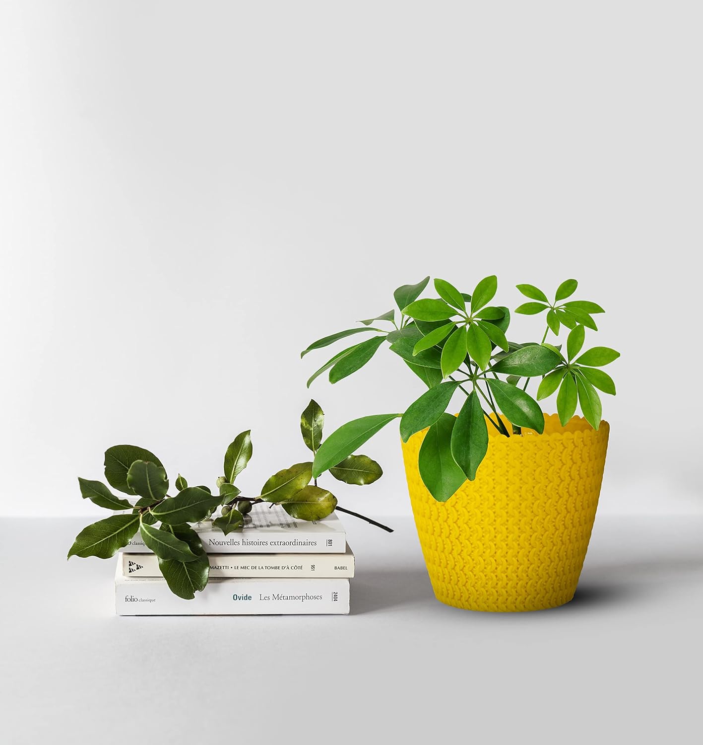7 Inch Poppy Round Flower Pots  Set of 5