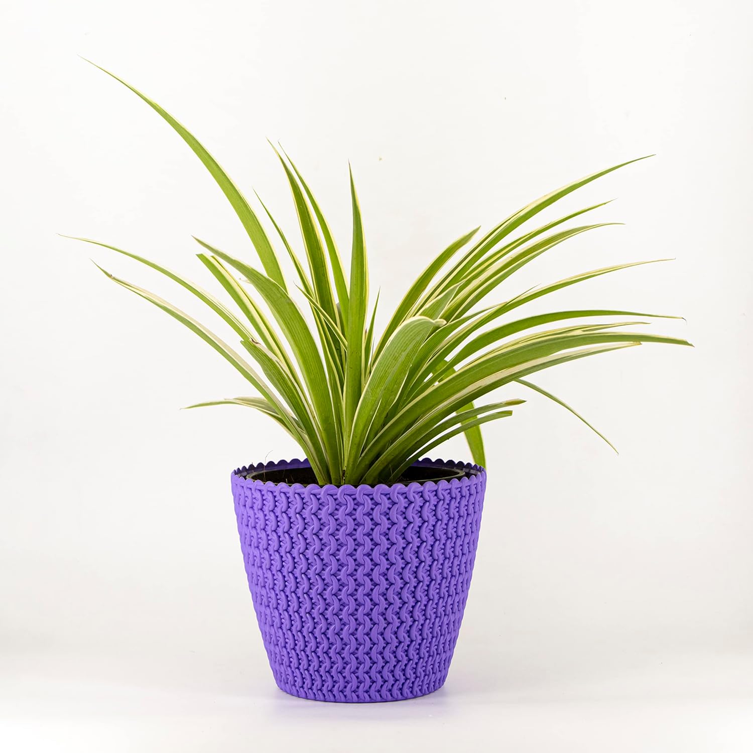 7 Inch Poppy Round Flower Pots  Set of 5