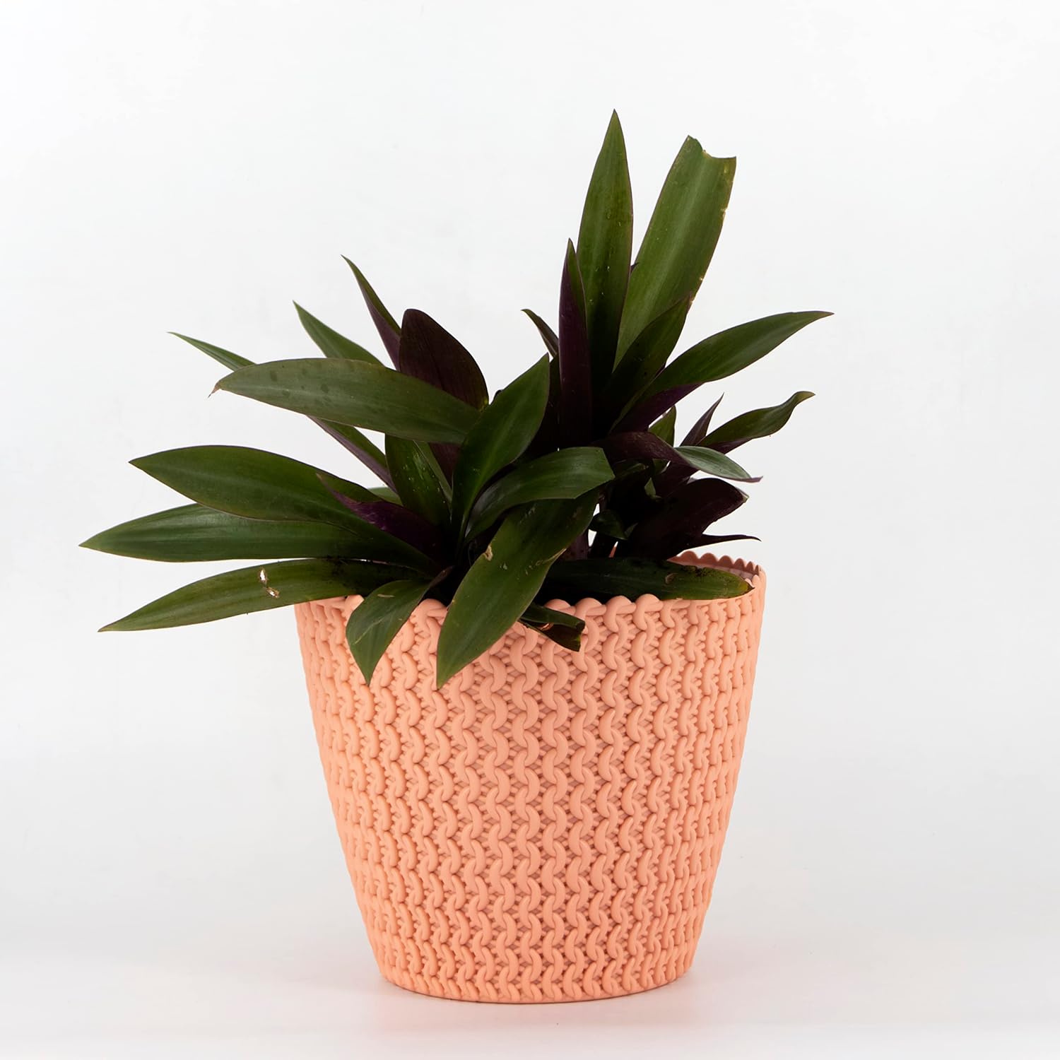 7 Inch Poppy Round Flower Pots  Set of 2