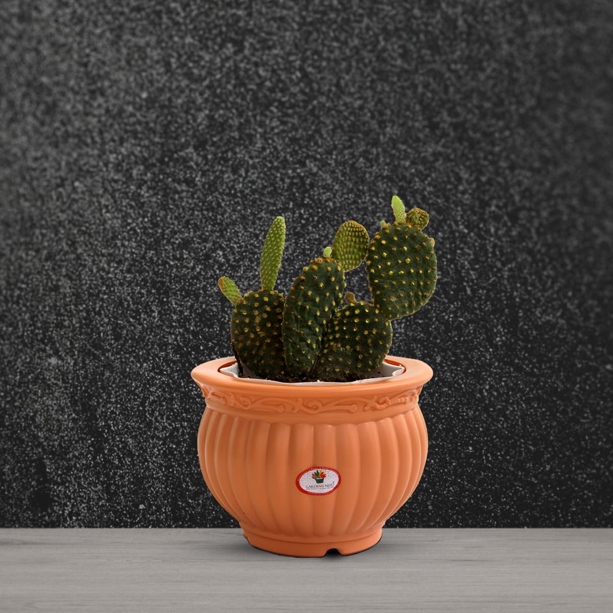 5 Inch Kanha Matki Plastic Flower Pots  Set of 2