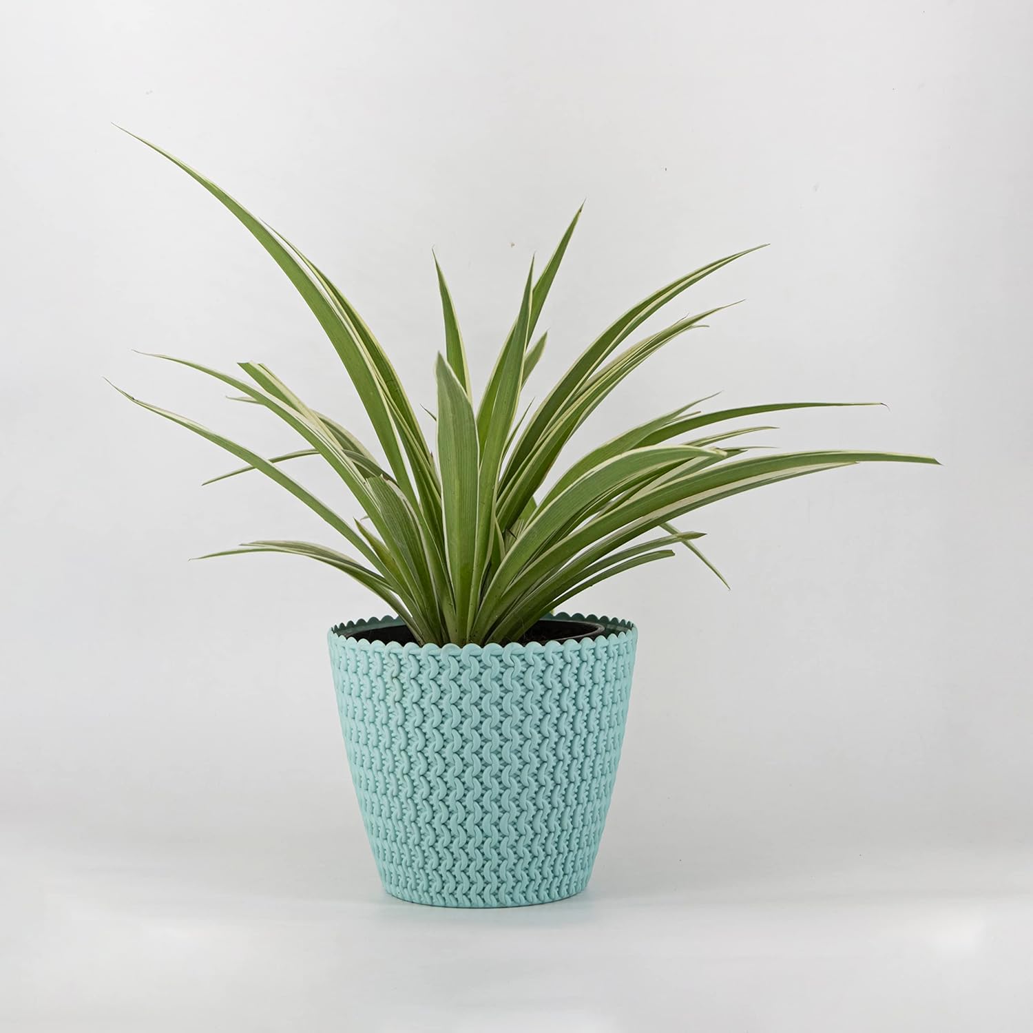 7 Inch Poppy Round Flower Pots  Set of 2