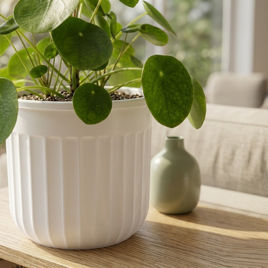 Seoul 6" Transparent Self-Watering Pots with White Inserts (Set of 2) – Modern Sleek Planters for Indoor Plants