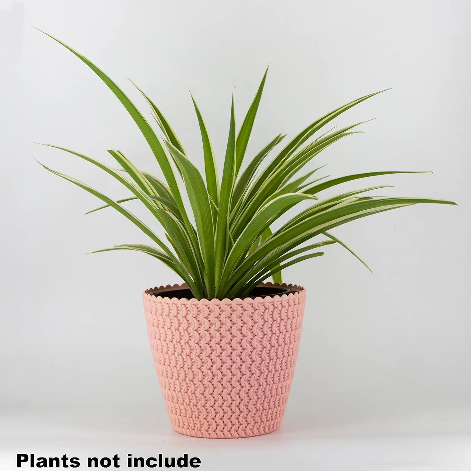 7 Inch Poppy Round Flower Pots  Set of 2