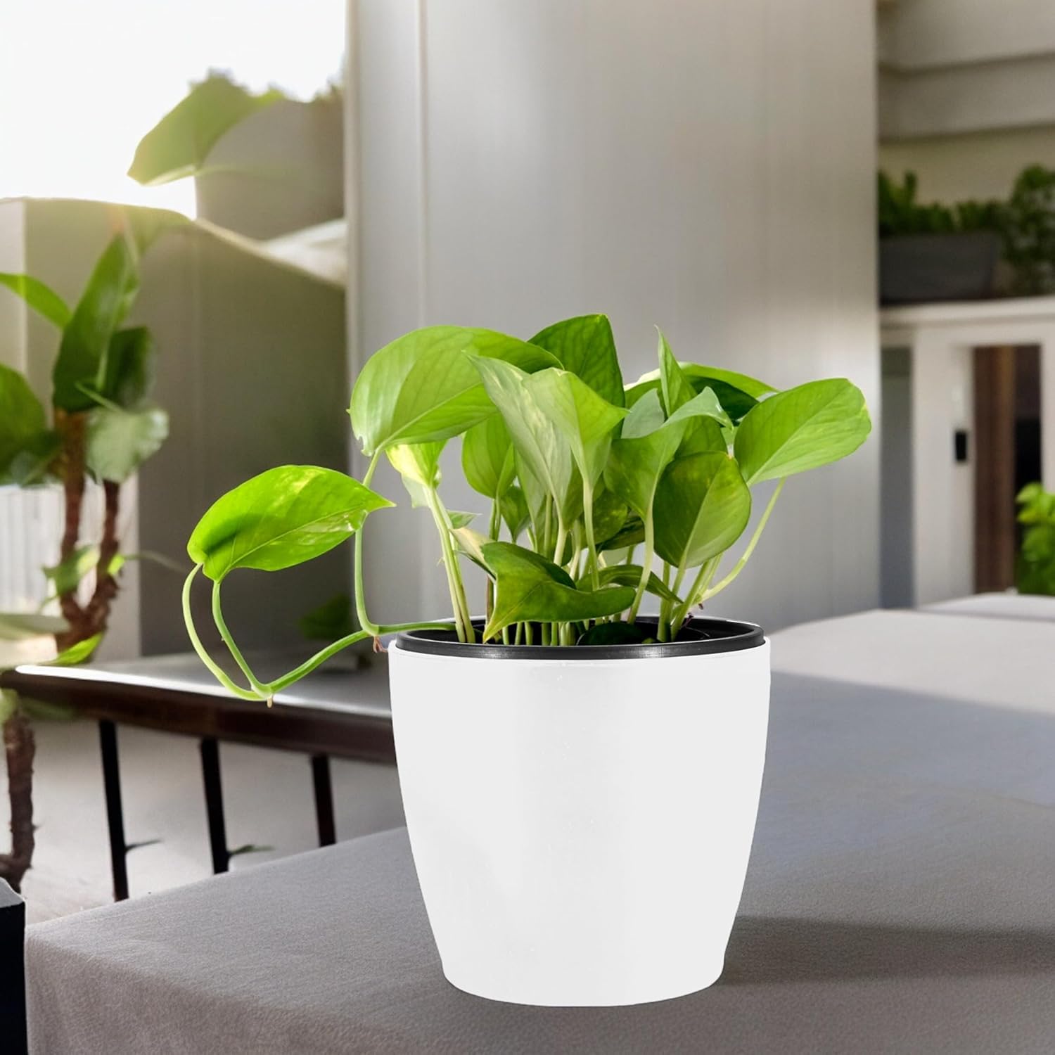 Self-Watering Planter Pots, 6 Inch White Flower Pots with Drainage, Modern Round Design for Indoor Outdoor Plants, Home Office Table Garden Balcony Decor, Set of 5