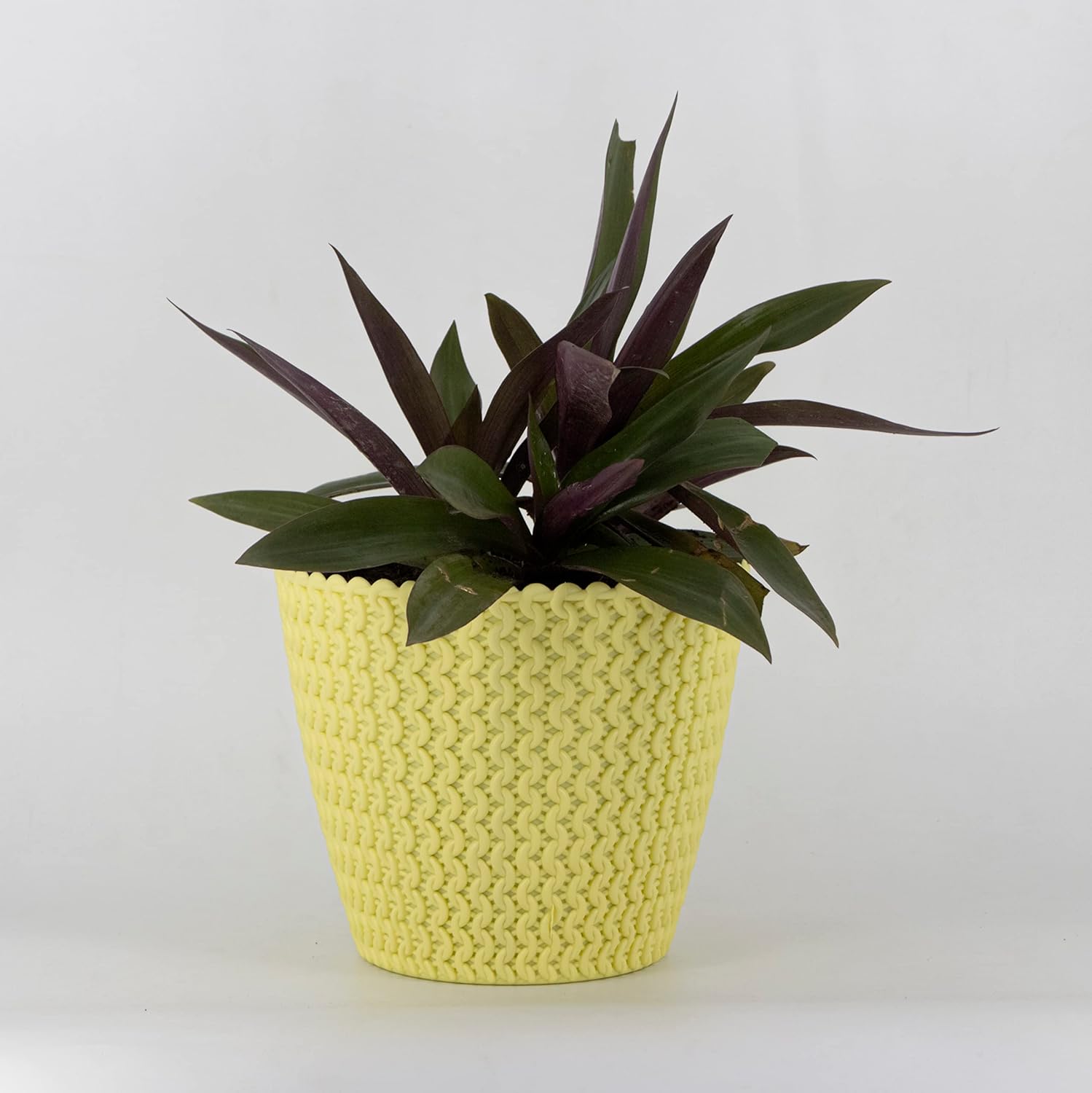 7 Inch Poppy Round Flower Pots  Set of 2