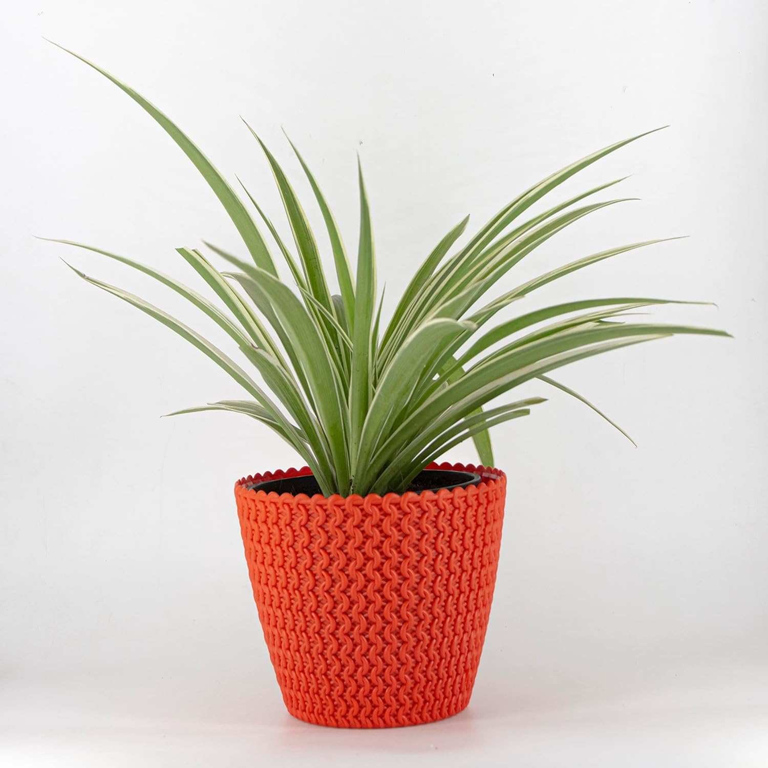 7 Inch Poppy Round Flower Pots  Set of 5