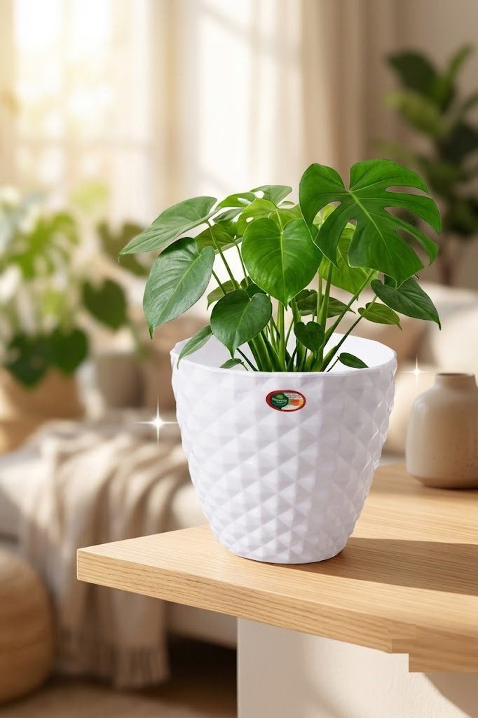 6 Inch Kohinoor Round Planter Set of 8 White Plastic Pots for Home, Garden & Office Decor