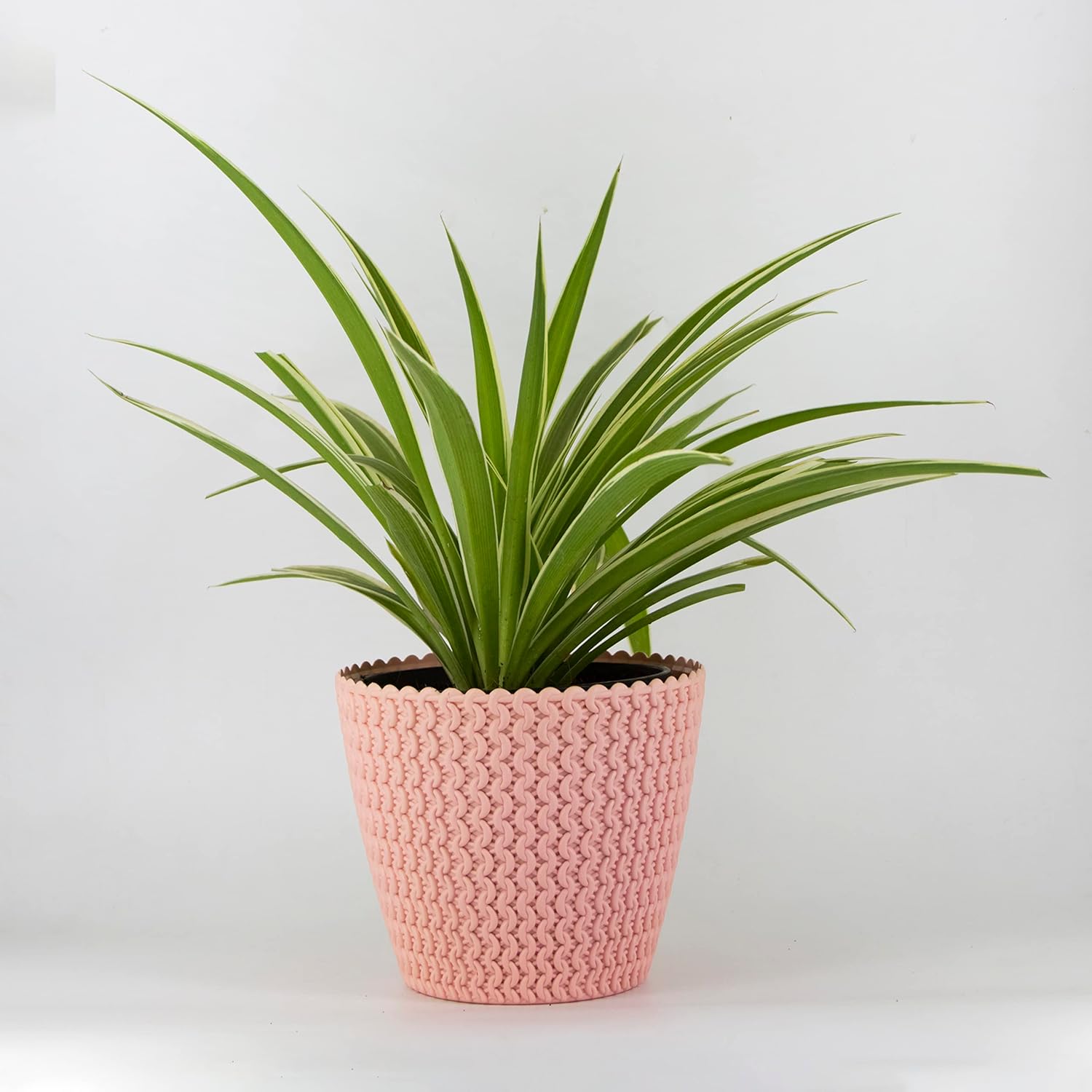 7 Inch Poppy Round Flower Pots  Set of 2