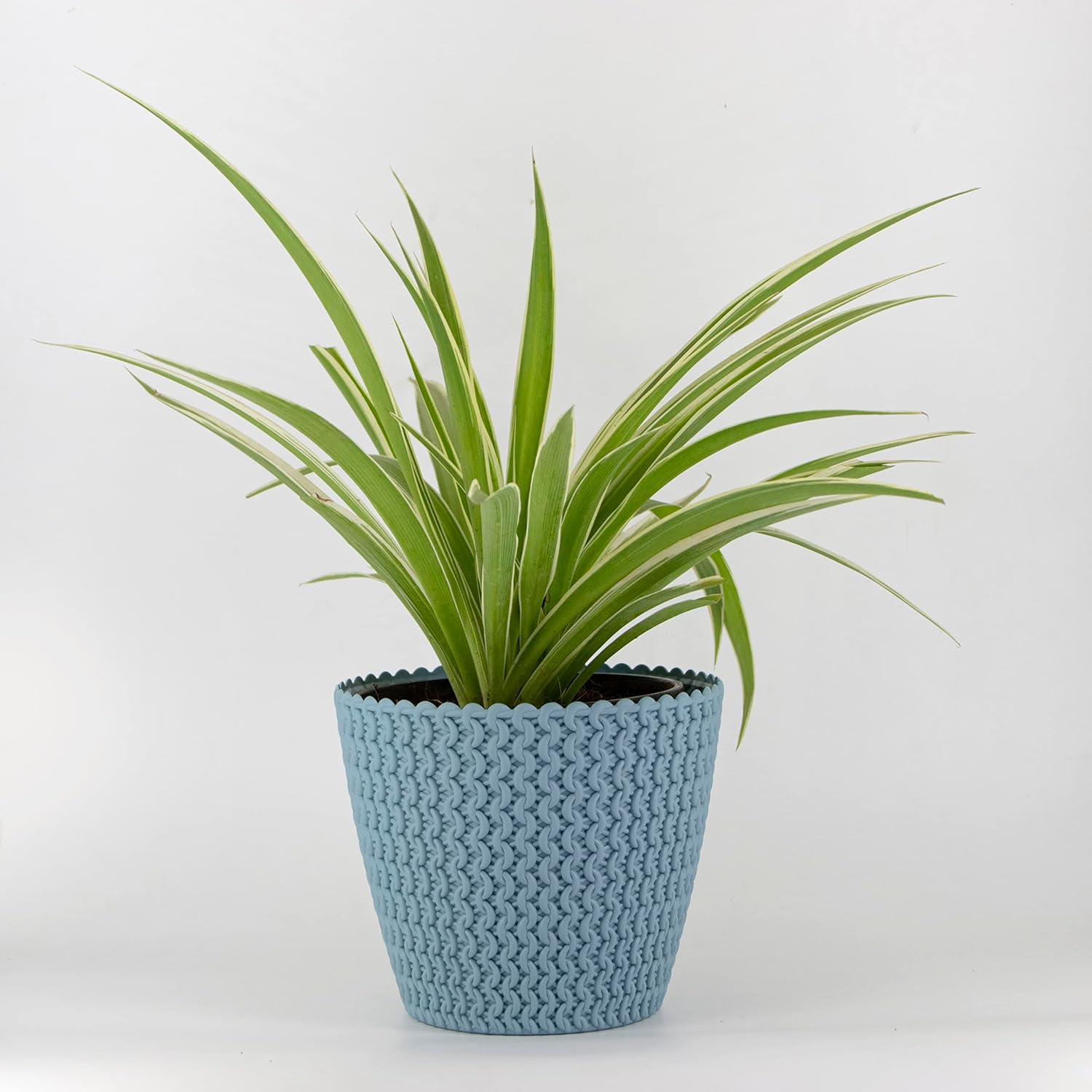 7 Inch Poppy Round Flower Pots  Set of 2