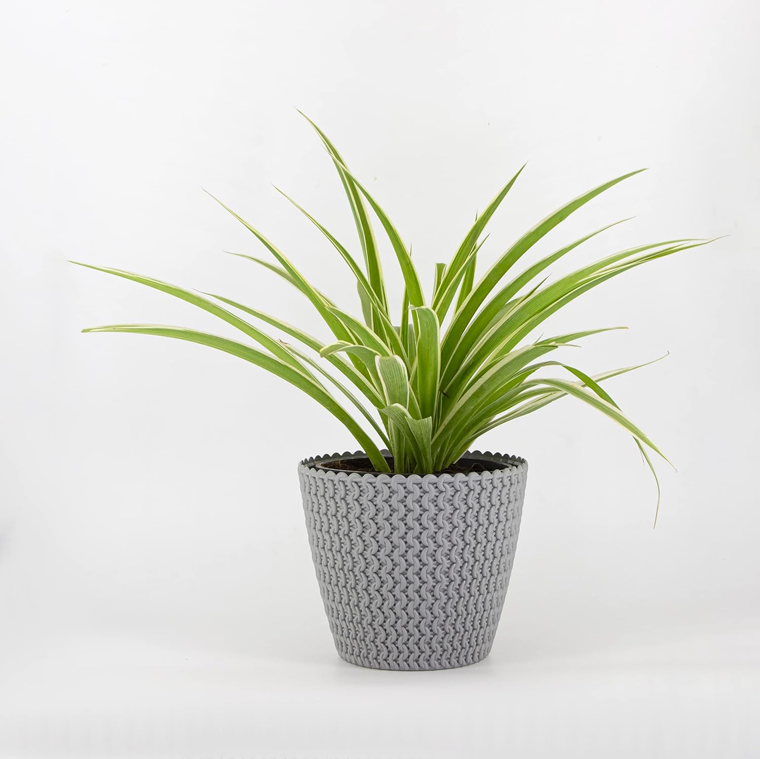 7 Inch Poppy Round Flower Pots  Set of 7