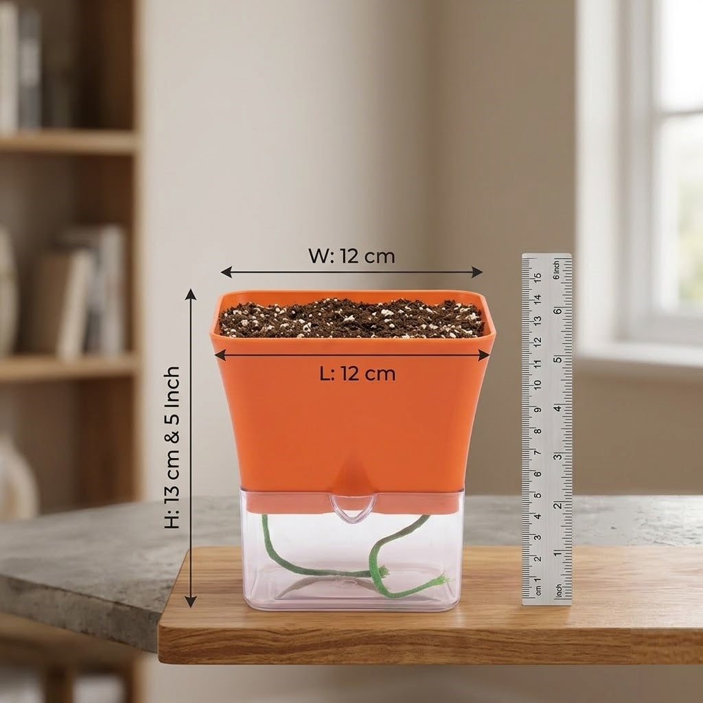 Austin 5-Inch Square Plant Pots Set of 2