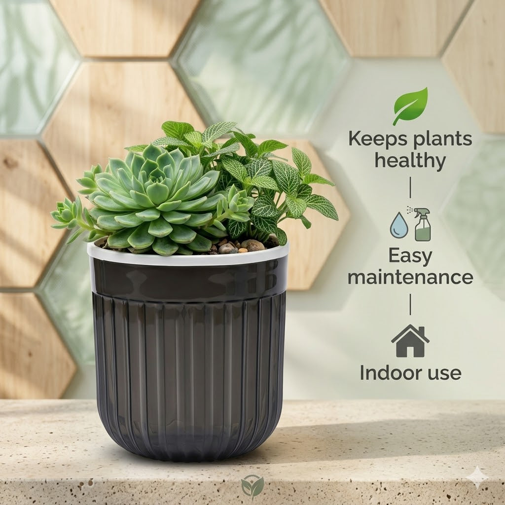 8" Transparent Self-Watering Seoul Pots (White, Set of 2) – Sleek Hydroponic Planters