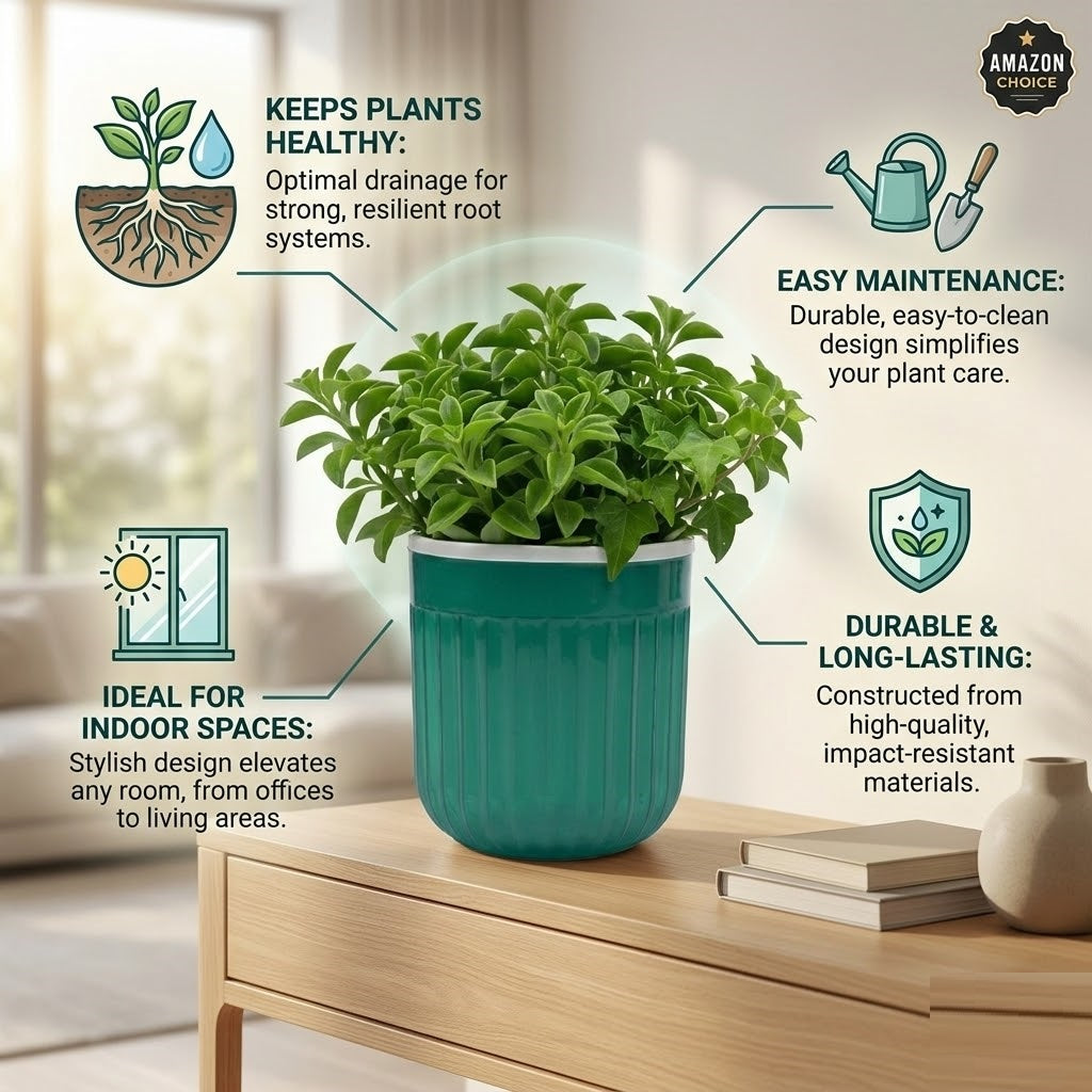 Seoul 6" Transparent Self-Watering Pots with White Inserts (Set of 2) – Modern Sleek Planters for Indoor Plants