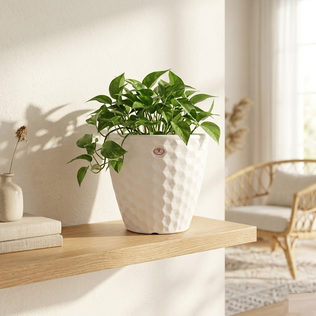10.5 Inch Spider Round Planter  UV Resistant, Lightweight White Pot