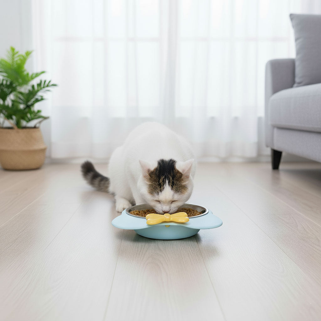 Stainless Steel Cat & Dog Bowl with Non-Slip Plastic Base – 6.5 Inch, Set of 2