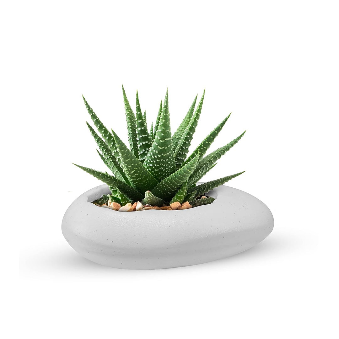 12 Inch Pabble Stone Planter  UV Resistant, Lightweight White Pot (Indoor/Outdoor)