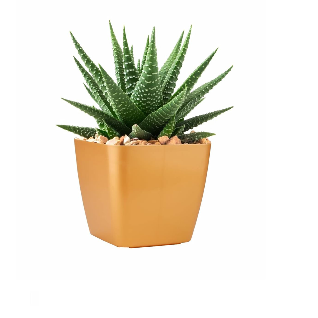 6 Inch Four Square Planter Set of 6  UV Resistant, Lightweight Multicolor Pots (Indoor/Outdoor)