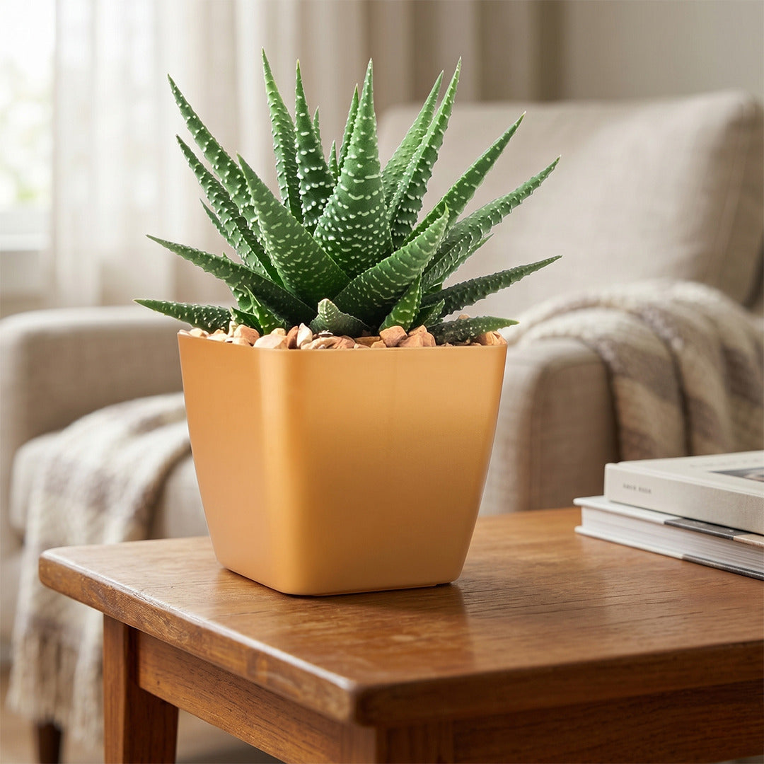 6 Inch Four Square Planter Set of 6  UV Resistant, Lightweight Multicolor Pots (Indoor/Outdoor)