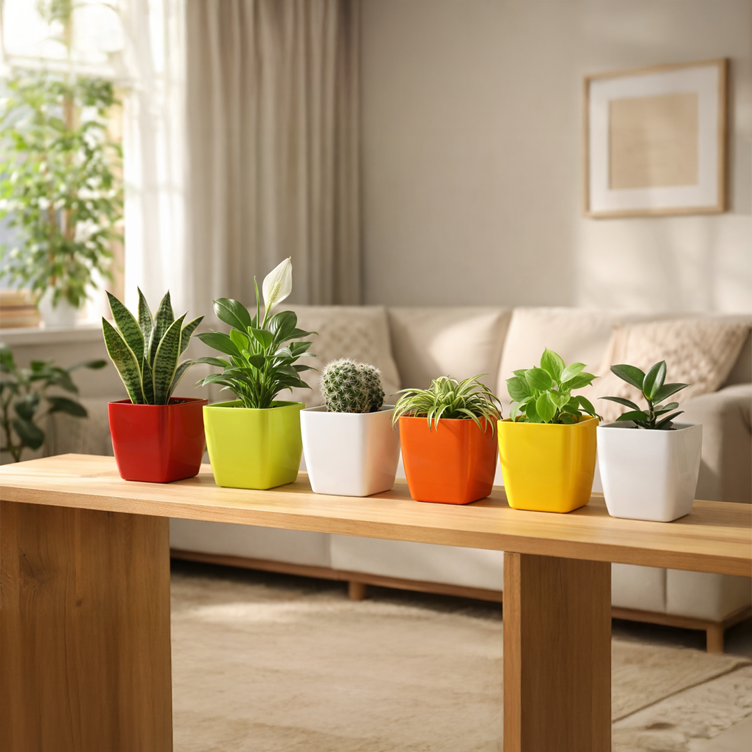 6 Inch Four Square Planter Set of 6  UV Resistant, Lightweight Multicolor Pots (Indoor/Outdoor)