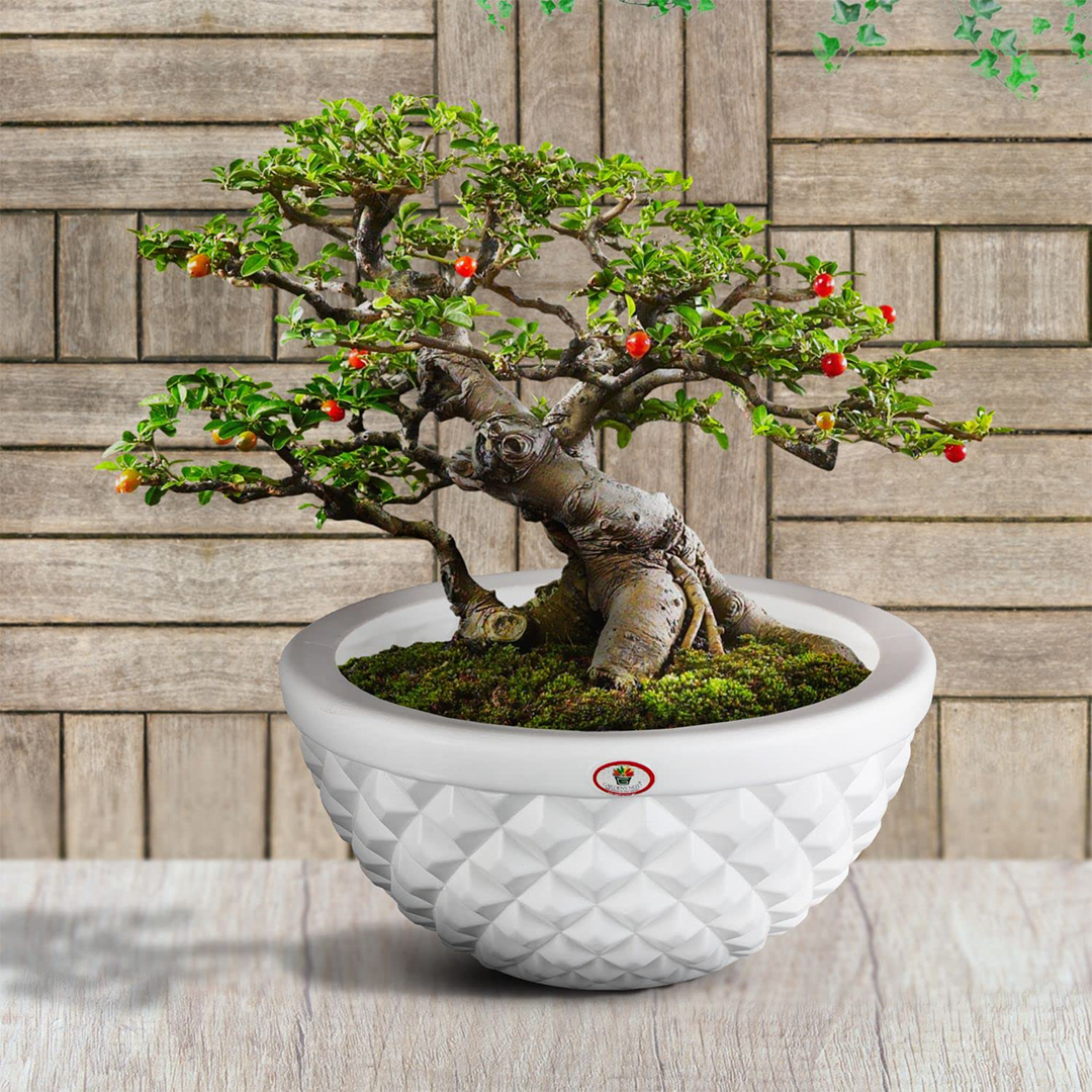 12 Inch Holden Round Planter  UV Resistant, Lightweight White Pot (Indoor/Outdoor)