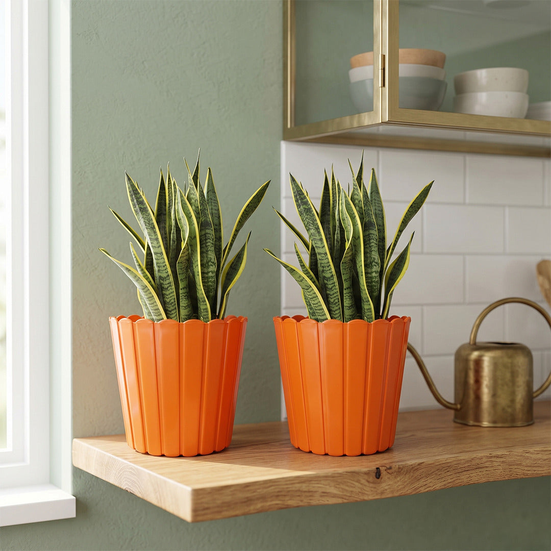 7 Inch Poppy Round Flower Pots  Set of 10