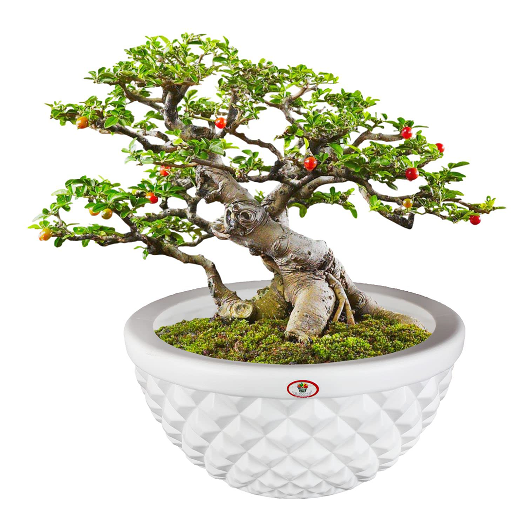 12 Inch Holden Round Planter  UV Resistant, Lightweight White Pot (Indoor/Outdoor)