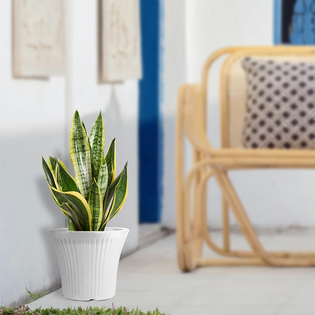 12 Inch Tancy Round Flower Pots  Set of 4