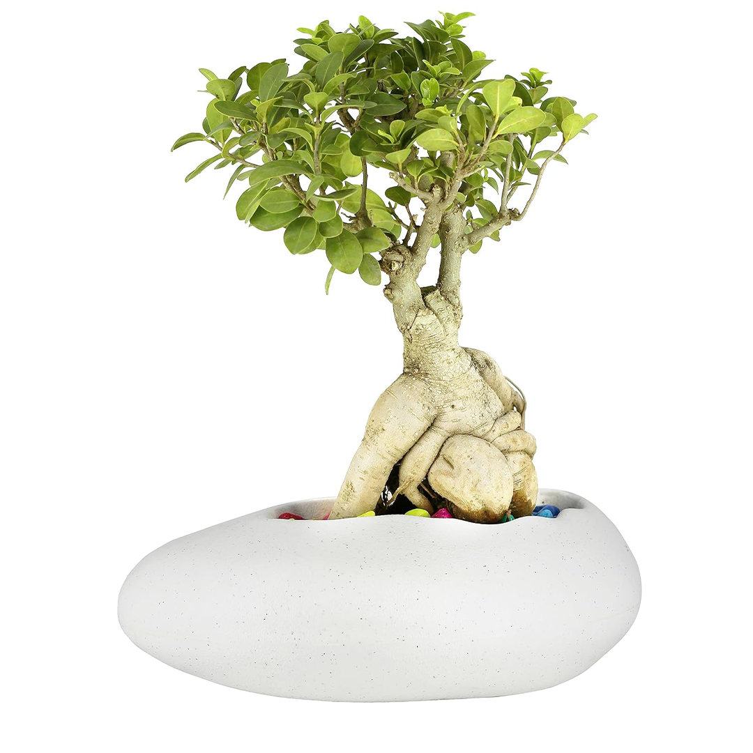 12 Inch Pabble Stone Planter  UV Resistant, Lightweight White Pot (Indoor/Outdoor)
