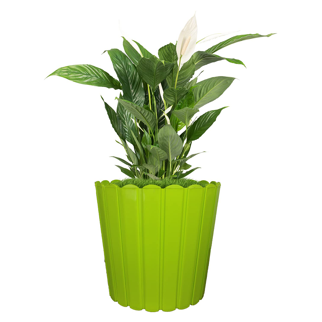 12 Inch Thai Planters Lightweight & UV Resistant (Set of 2)