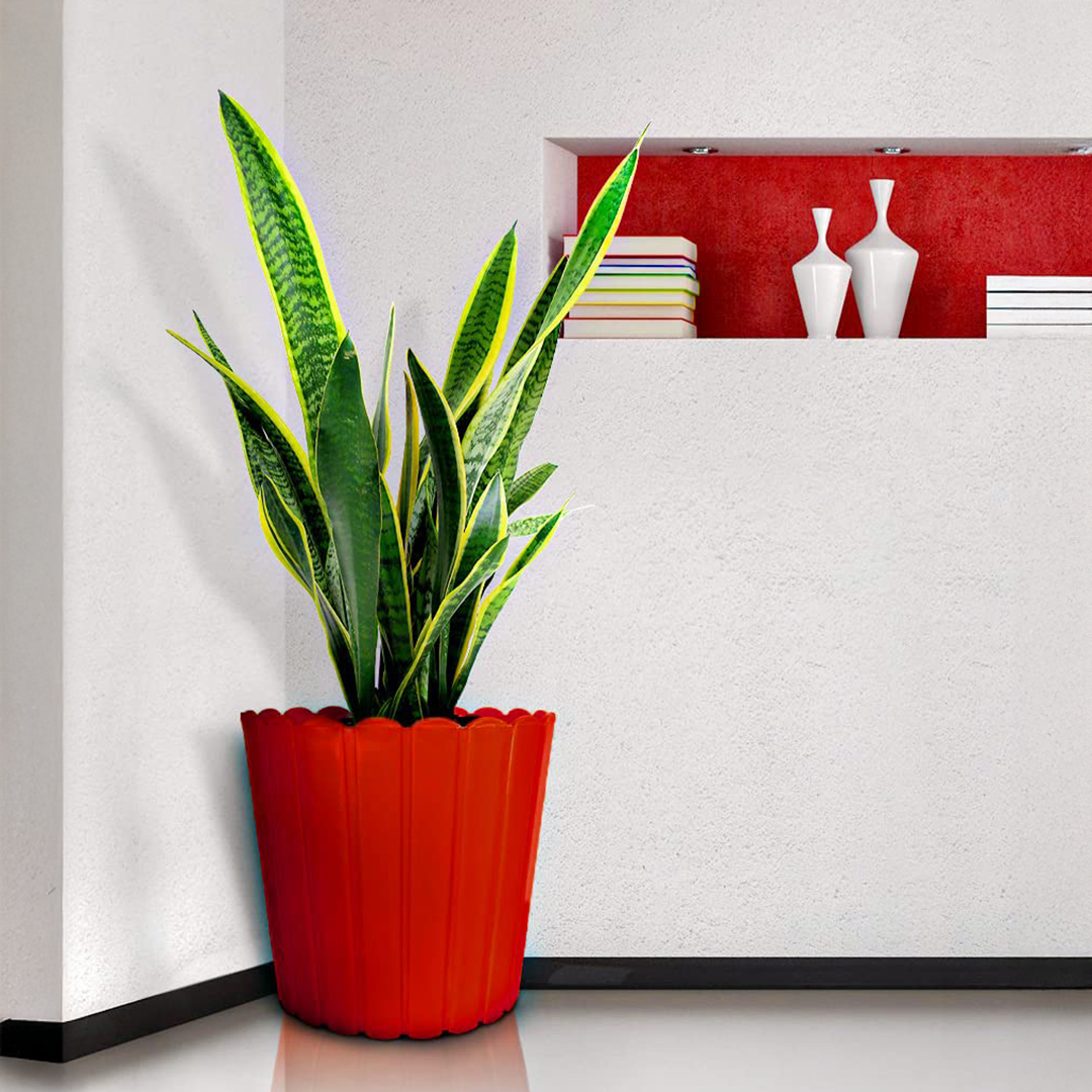10 Inch Thai Planters Lightweight & UV Resistant (Set of 2)