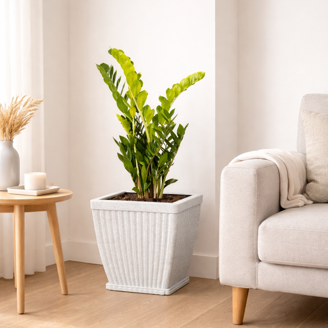 10 Inch Paris Square Planter  UV Resistant, Lightweight White Marble Pot