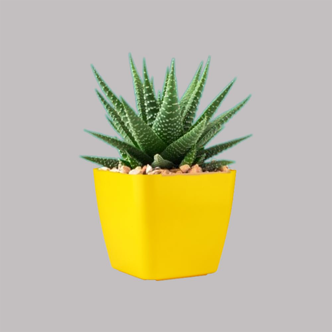 6 Inch Four Square Planter Set of 6  UV Resistant, Lightweight Multicolor Pots (Indoor/Outdoor)