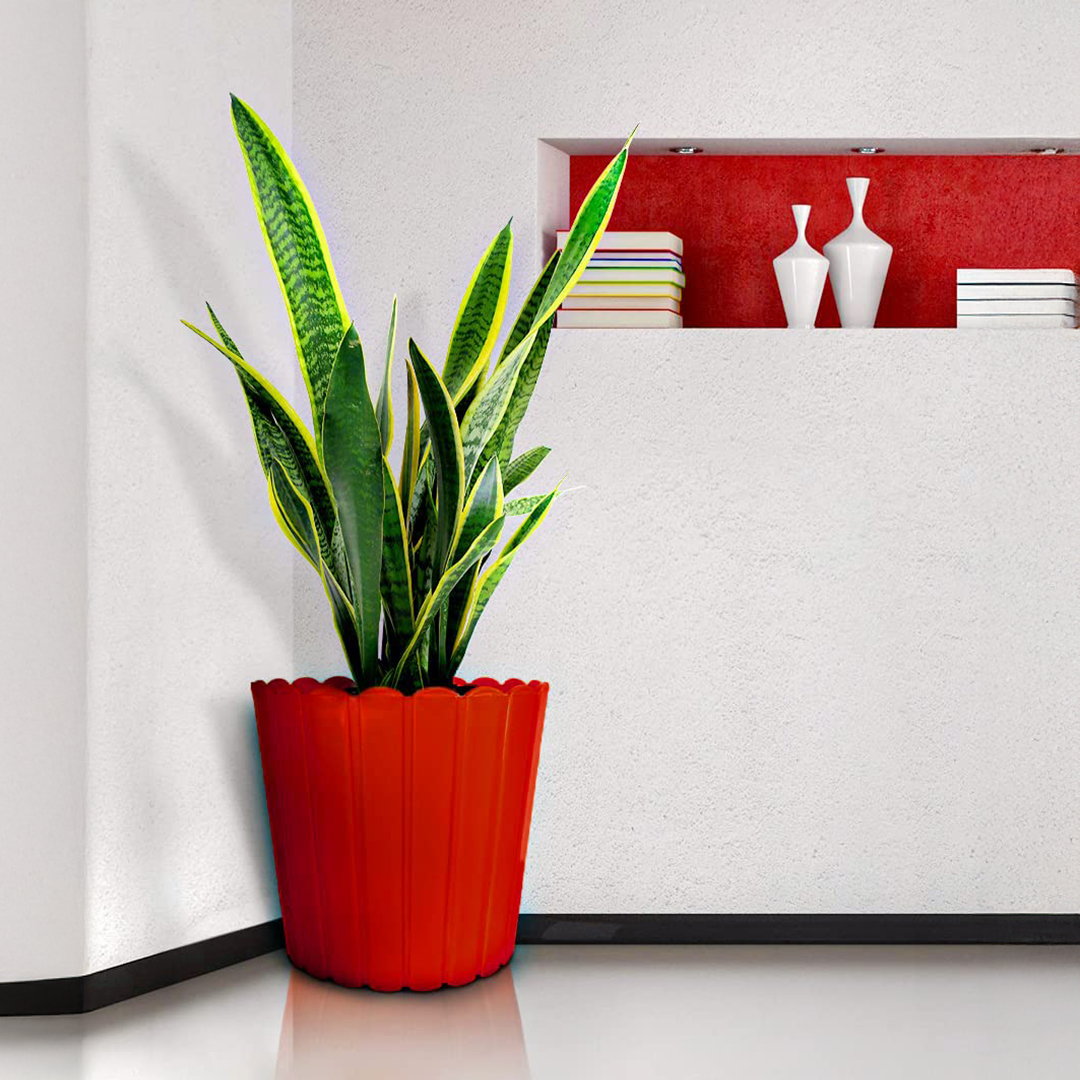 12 Inch Thai Planters Lightweight & UV Resistant (Set of 2)