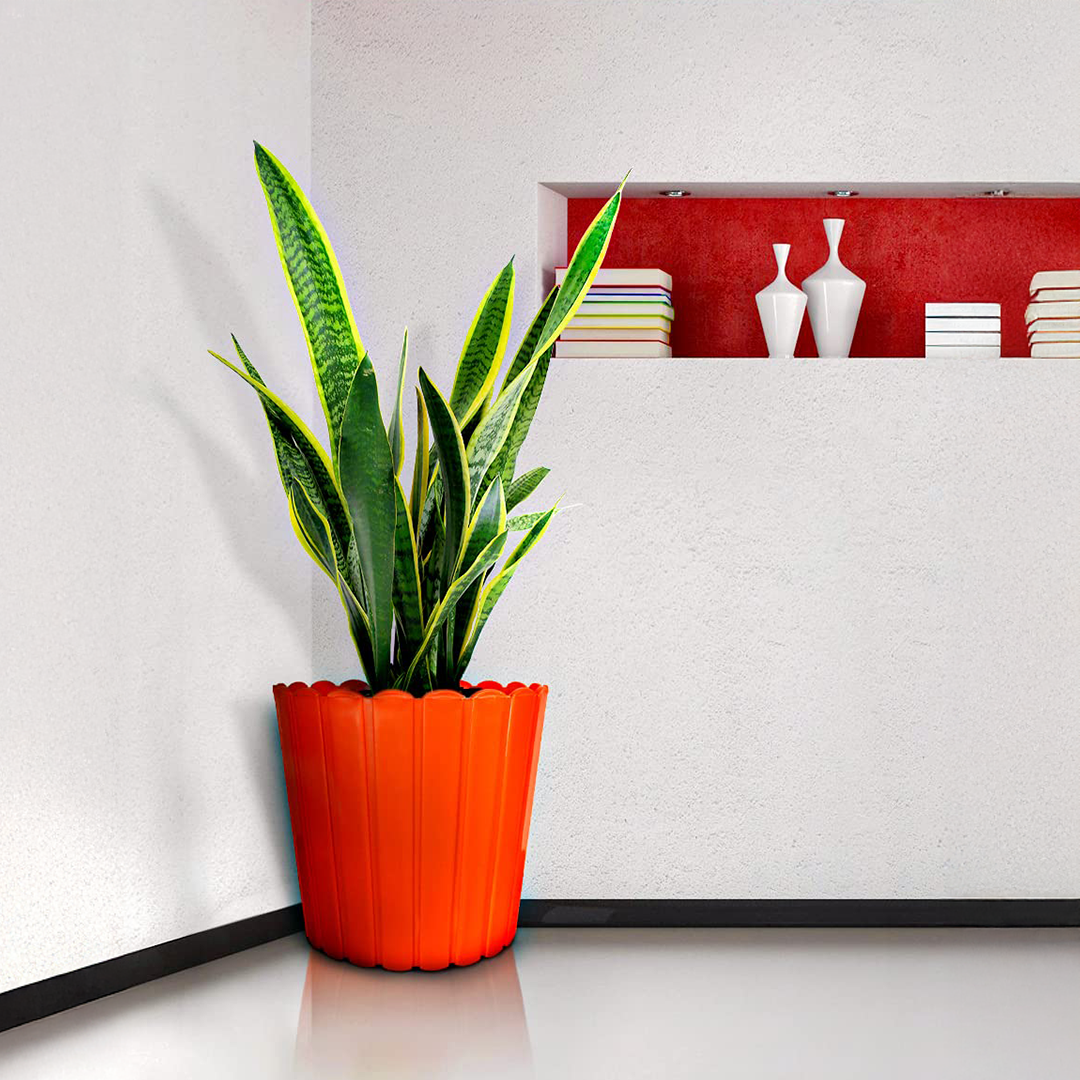 12 Inch Thai Planters Lightweight & UV Resistant (Set of 2)