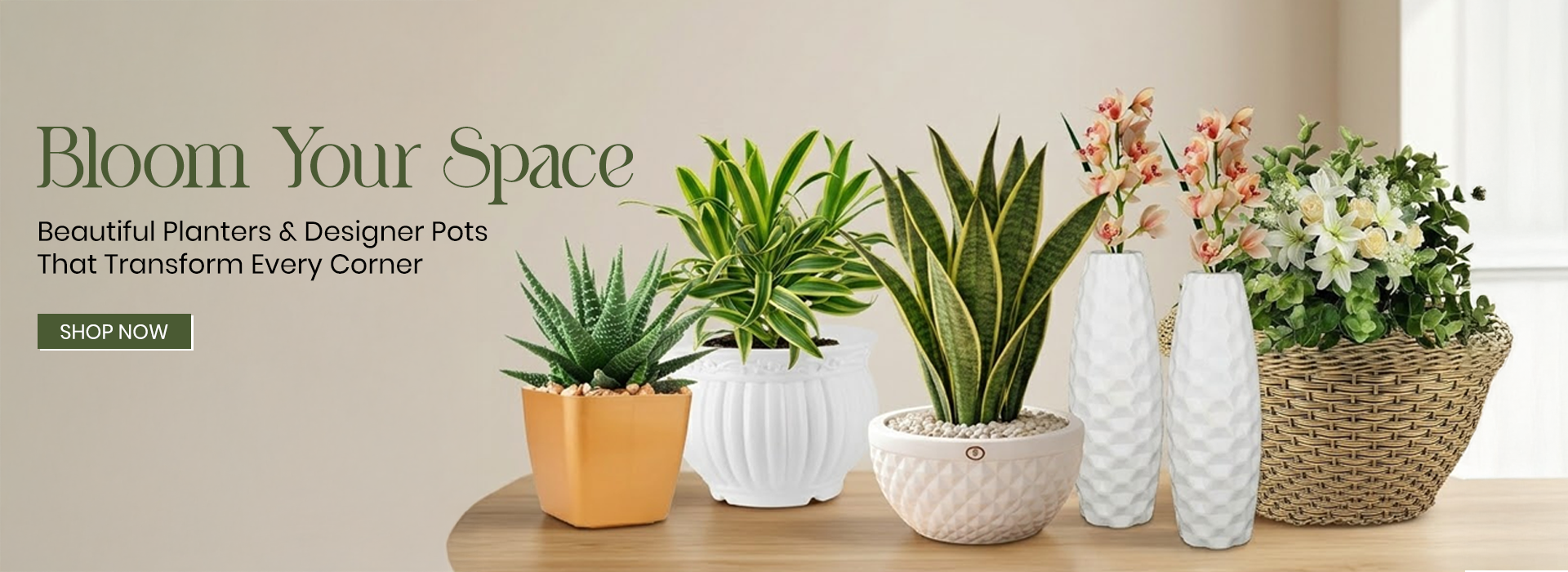 Pot Supplier in India for Balcony & Indoor Planters