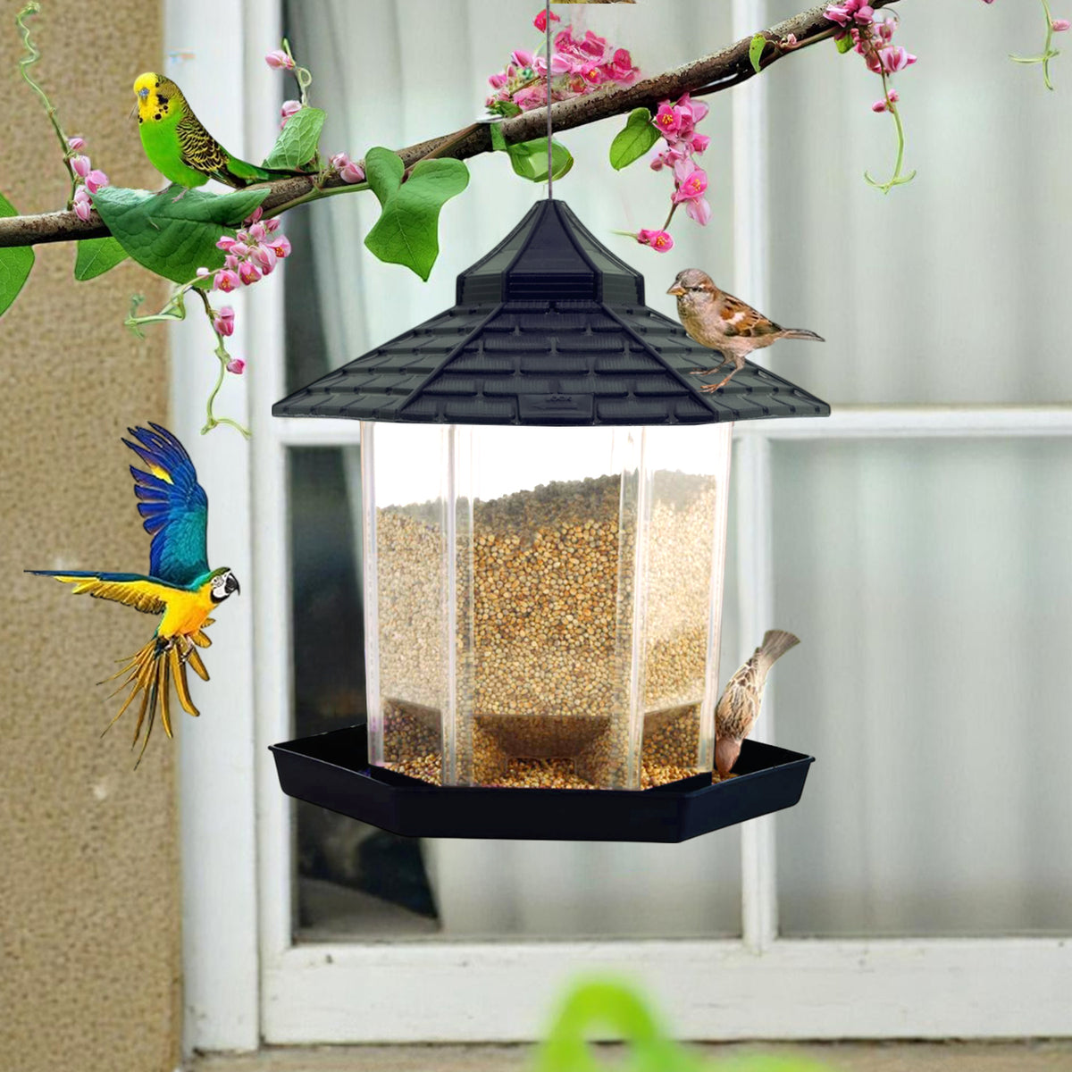 Hut Shaped Bird Feeder with Transparent Grain Holder with Hanging Wire (Green)