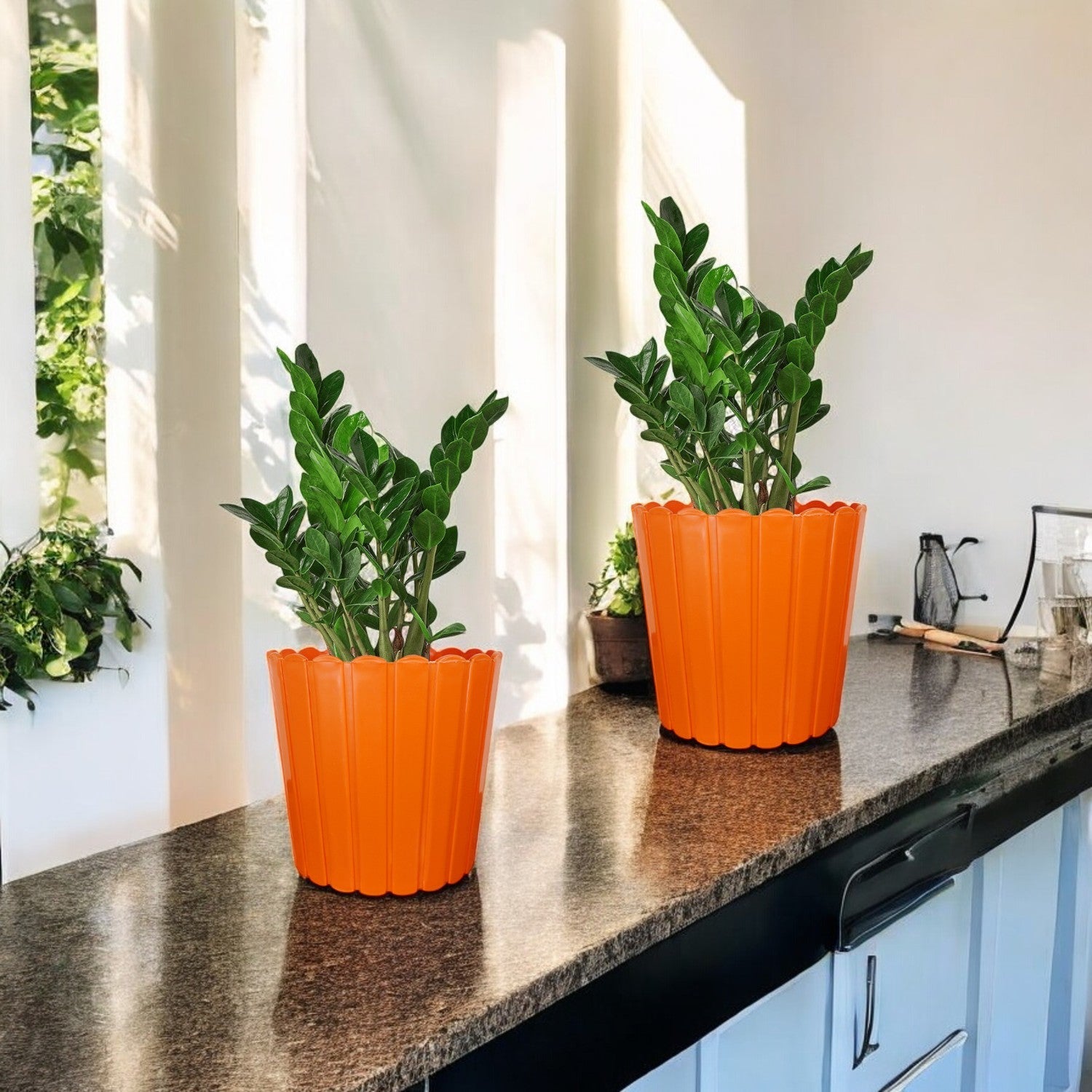 7 Inch Poppy Round Flower Pots  Set of 2