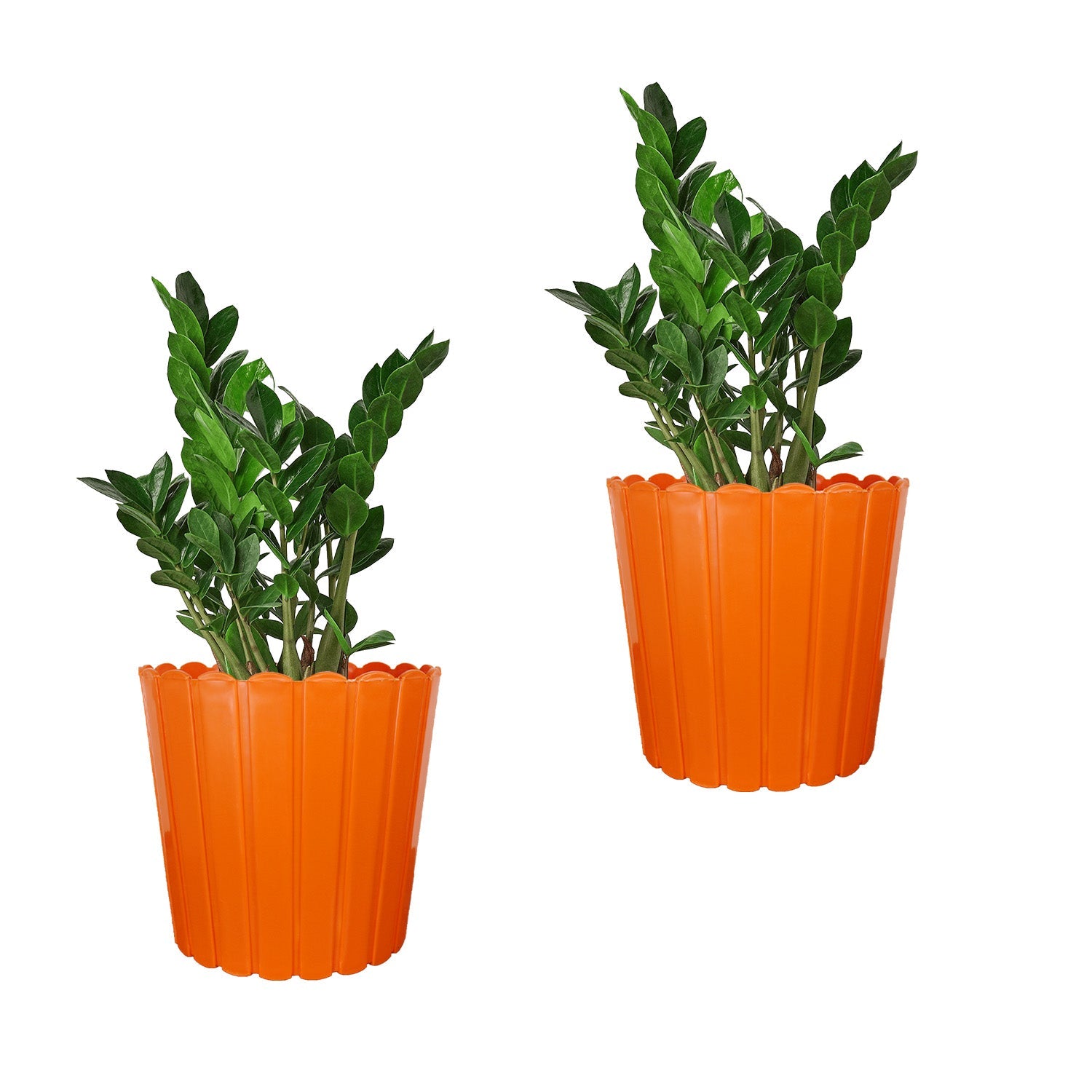 7 Inch Poppy Round Flower Pots  Set of 2