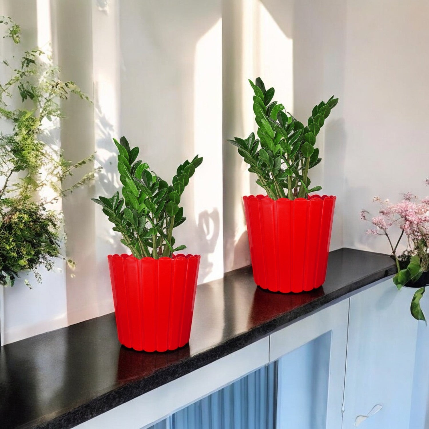 7 Inch Poppy Round Flower Pots  Set of 2