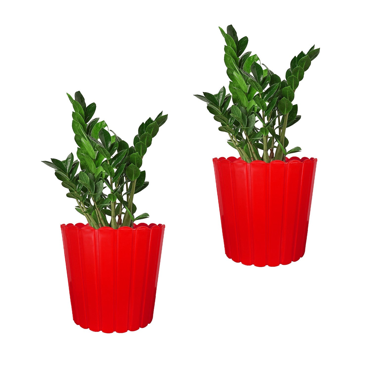 7 Inch Poppy Round Flower Pots  Set of 2