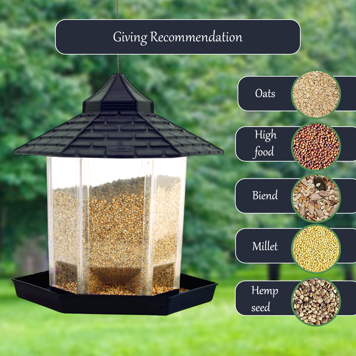 Hut Shaped Bird Feeder with Transparent Grain Holder with Hanging Wire (Green)