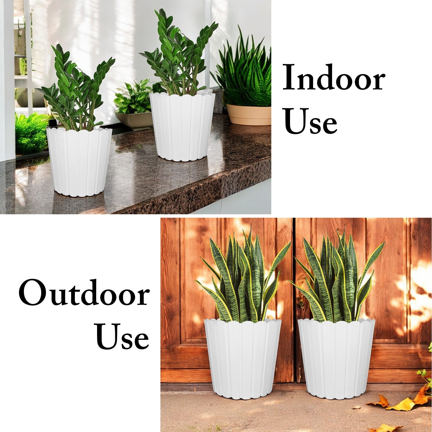 7 Inch Poppy Round Flower Pots  Set of 5