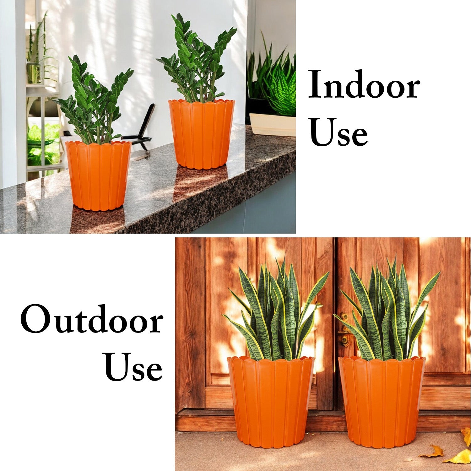 7 Inch Poppy Round Flower Pots  Set of 2