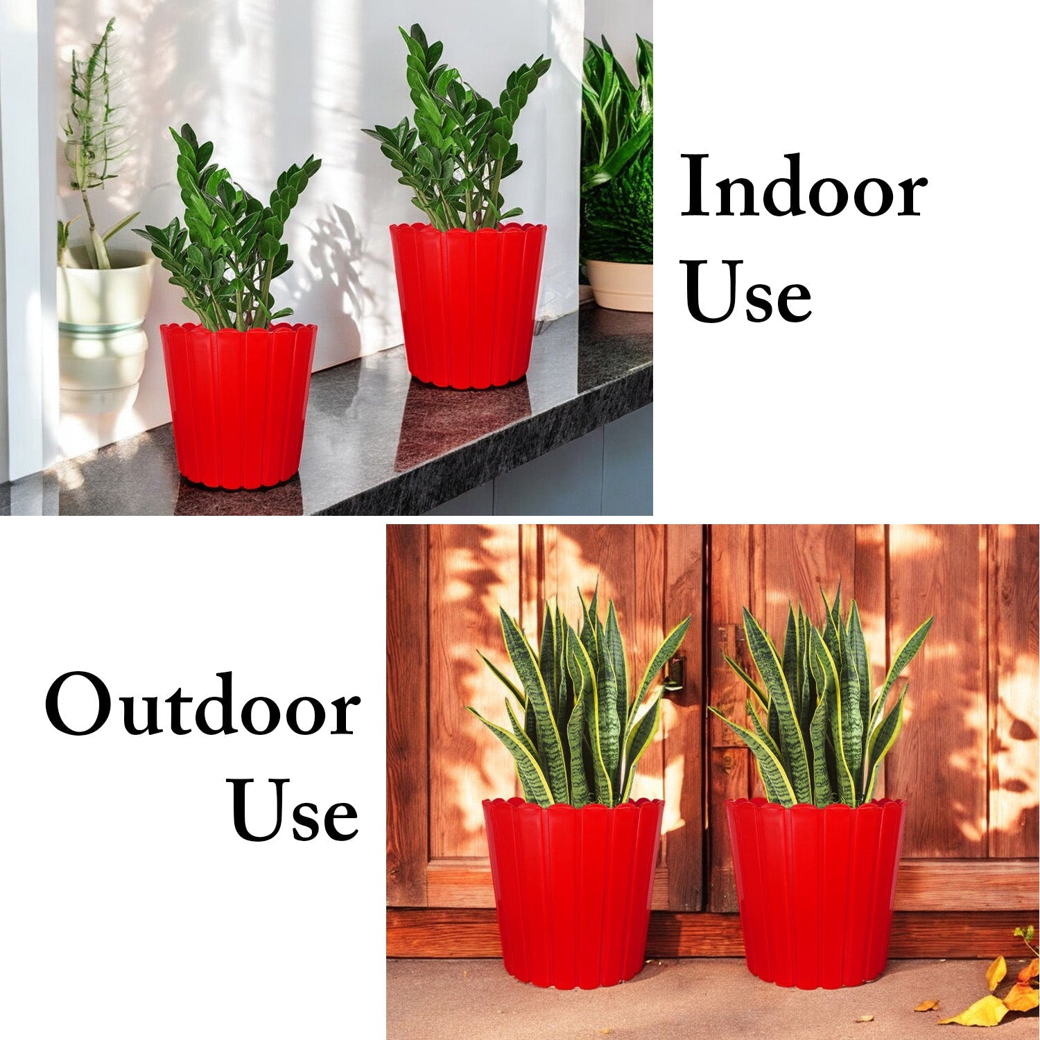 7 Inch Poppy Round Flower Pots  Set of 2