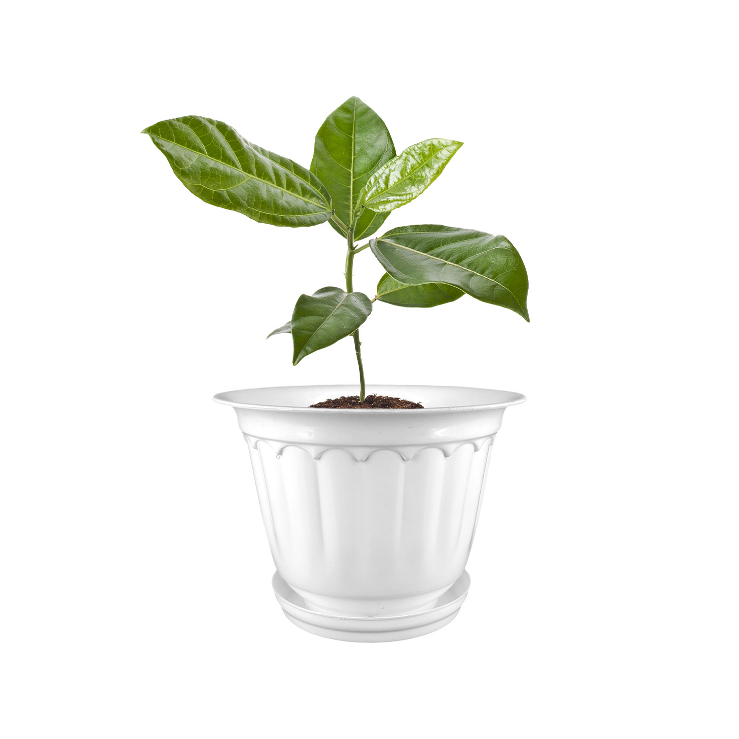 12 Inch Jasmine Planters with Drip Tray Home & Garden Decor (Set of 3)