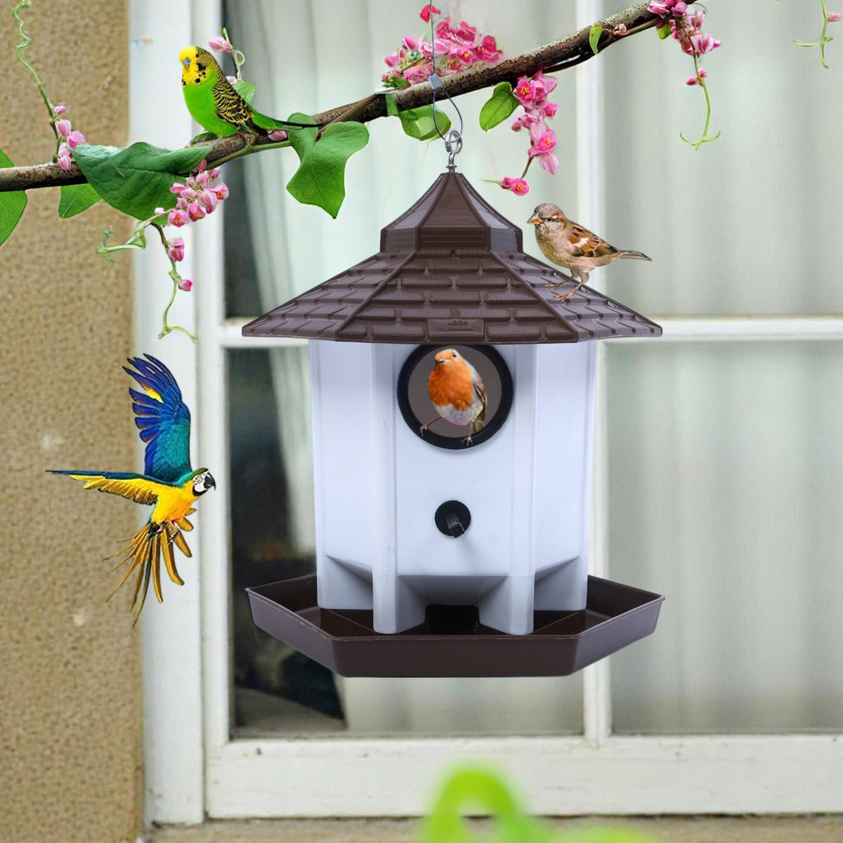Hut Shaped Bird Feeder with Transparent Grain Holder with Hanging Wire (Green)